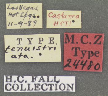 Media type: image;   Entomology 24480 Aspect: labels